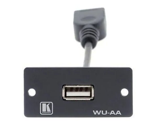 Wall Plate Insert, USB A/A (black)